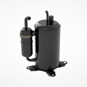 Multicolor Leather Formal Belt